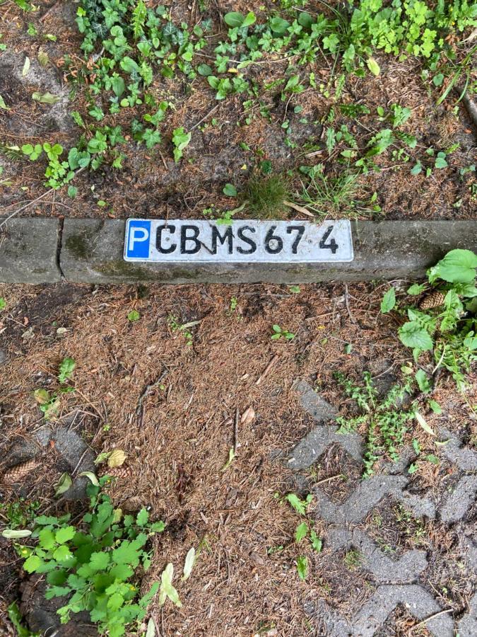 Schoene Ferienwohnung Mit Kostenlosem Parkplatz Cottbus Eksteriør bilde